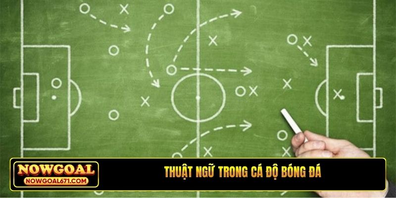 thuật ngữ trong cá độ bóng đá